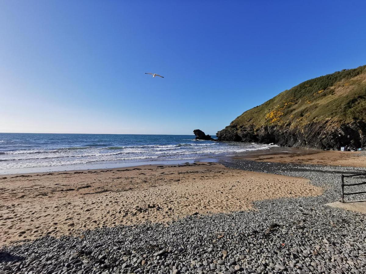 Wellstone Cottages - Honey Coach House Llanfyrnach 외부 사진