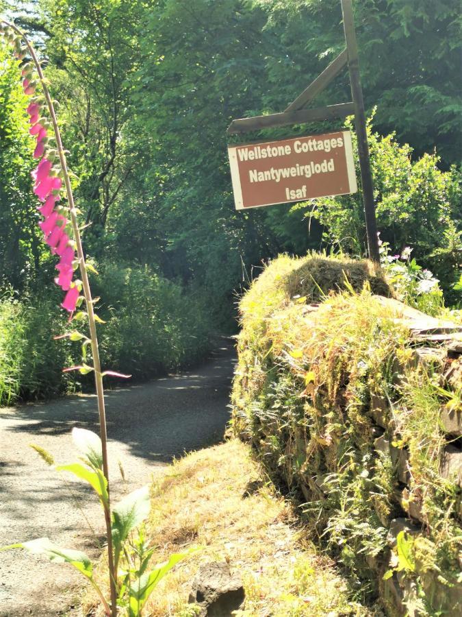 Wellstone Cottages - Honey Coach House Llanfyrnach 외부 사진