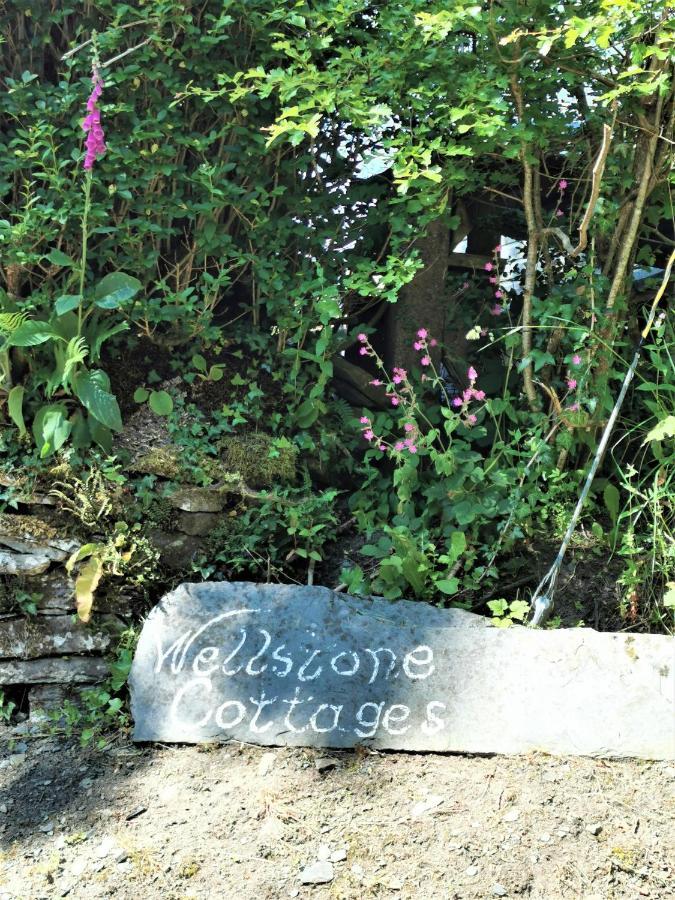 Wellstone Cottages - Honey Coach House Llanfyrnach 외부 사진