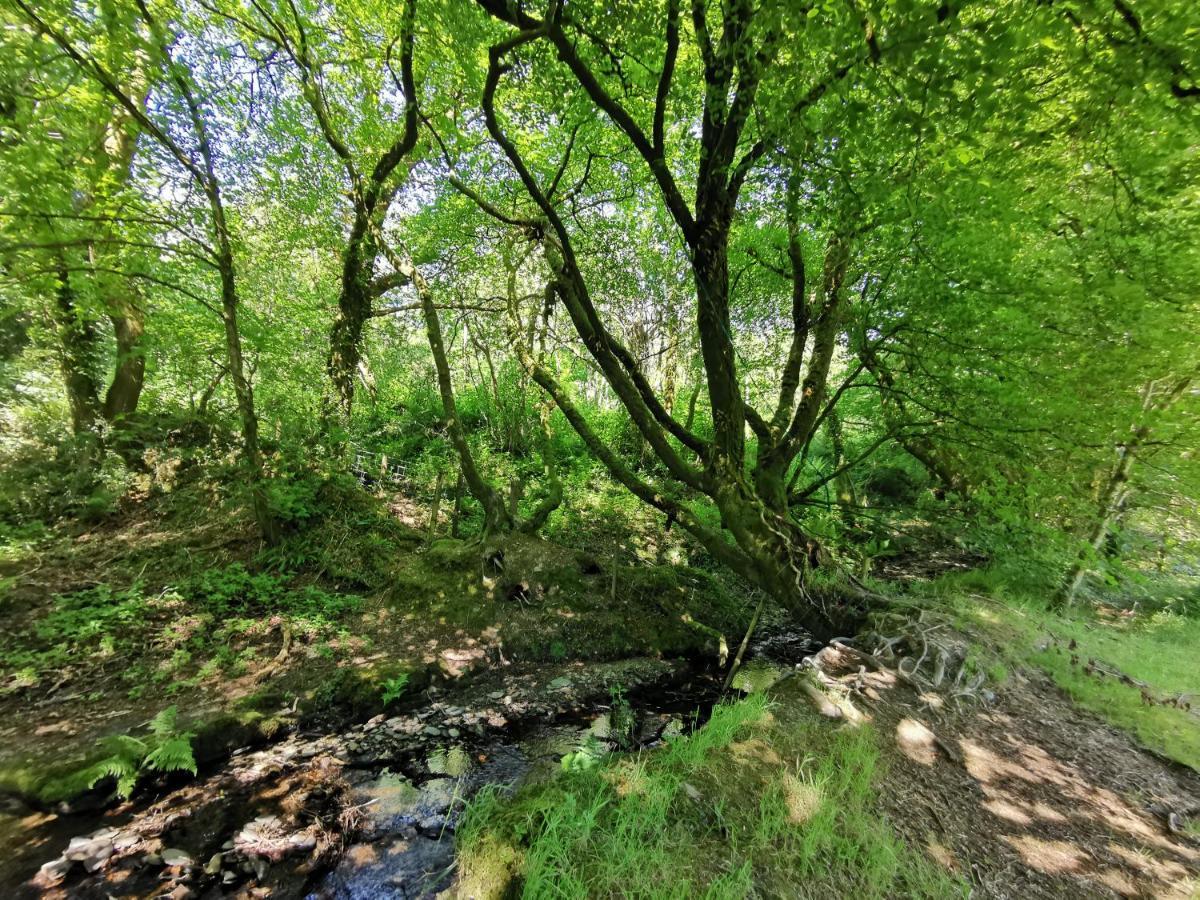Wellstone Cottages - Honey Coach House Llanfyrnach 외부 사진